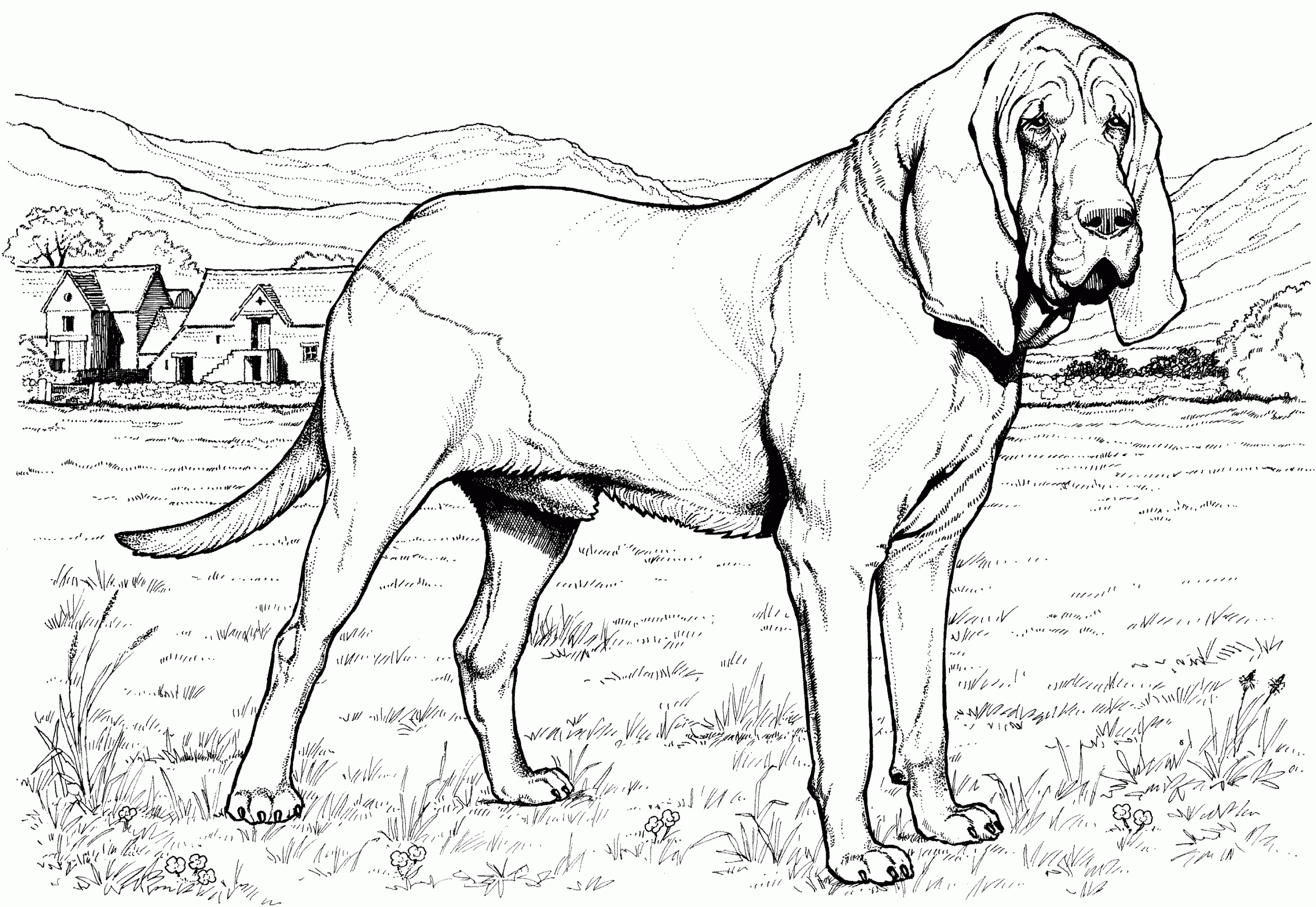 Cool Coloring Pages Printable Dogs Coloring Pages