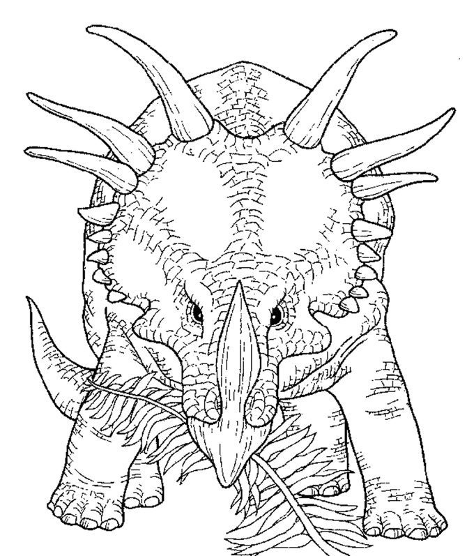 Cool Dinosaur Coloring Pages Coloring Book 