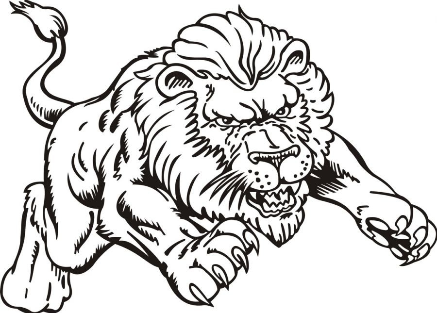 free printable coloring sheet lion