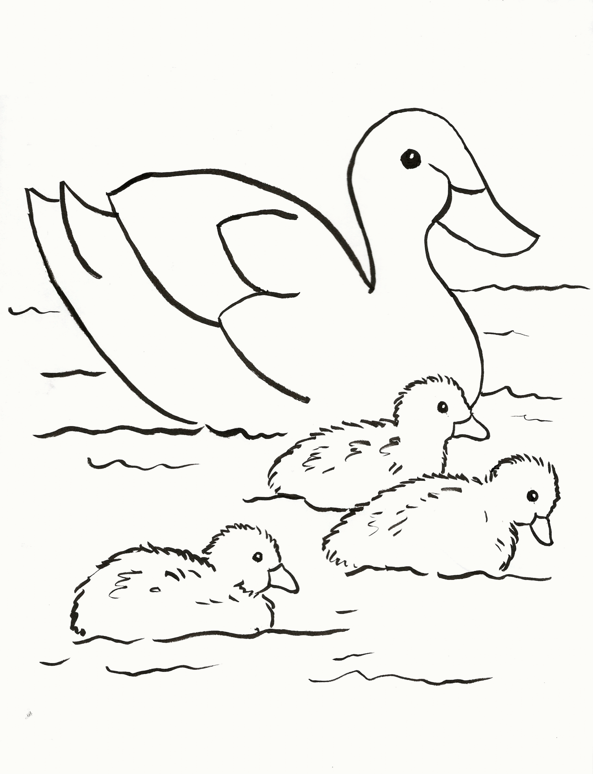 Cute Baby Duck Coloring Pages Coloring Home
