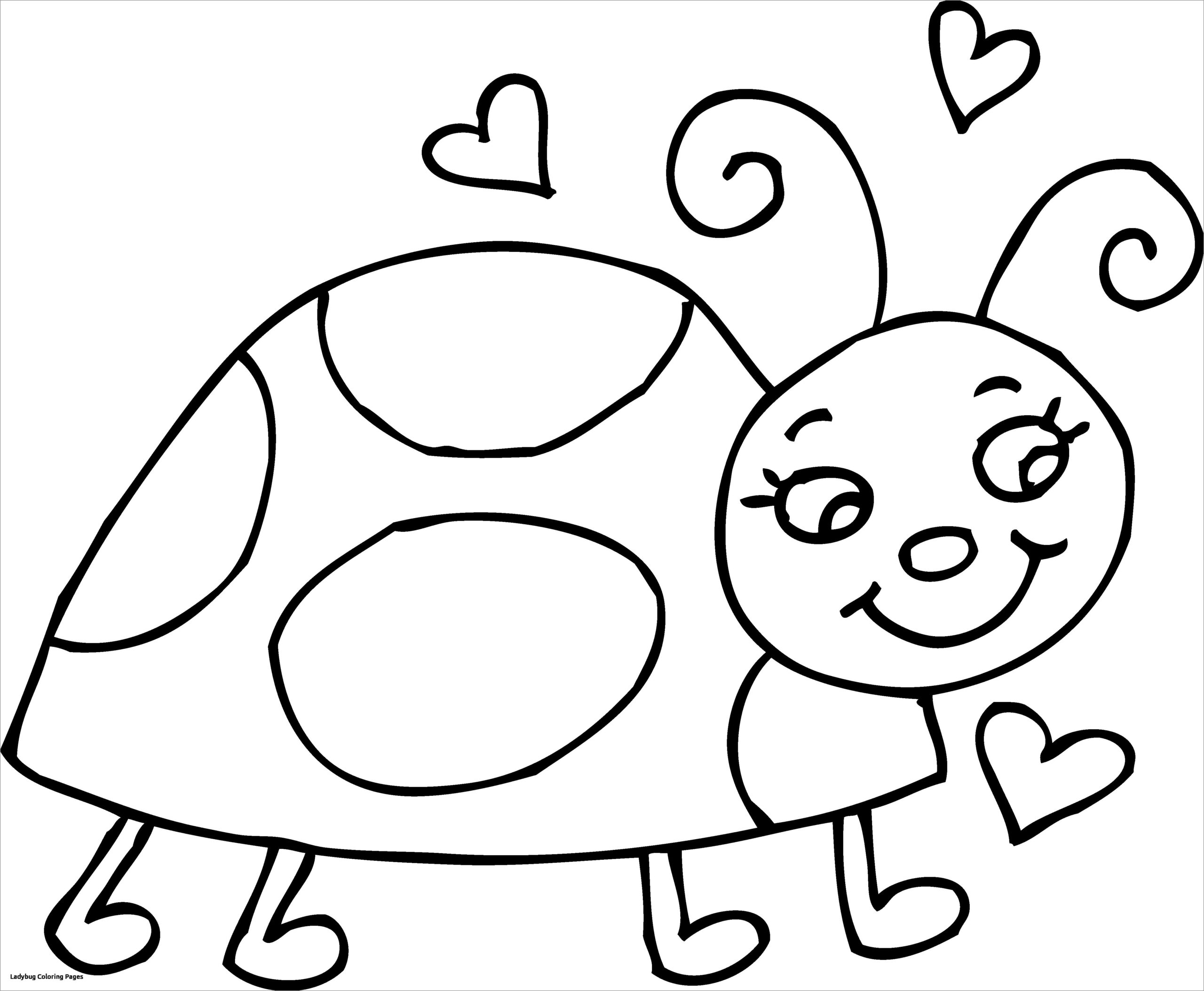 Cute Ladybug Coloring Page ColoringBay