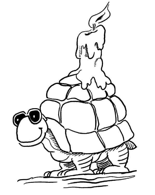 turtle cute coloring page
