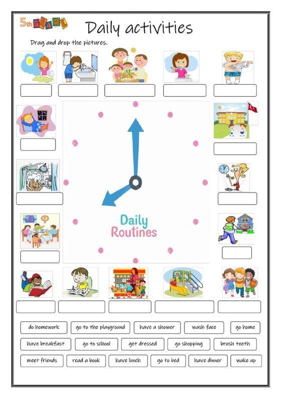 my daily routine worksheet pdf