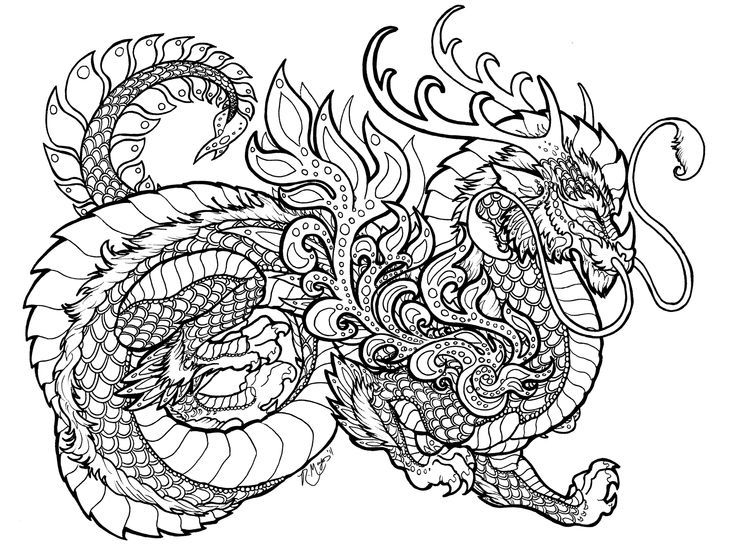 Detailed Dragon Coloring Pages Coloring Home