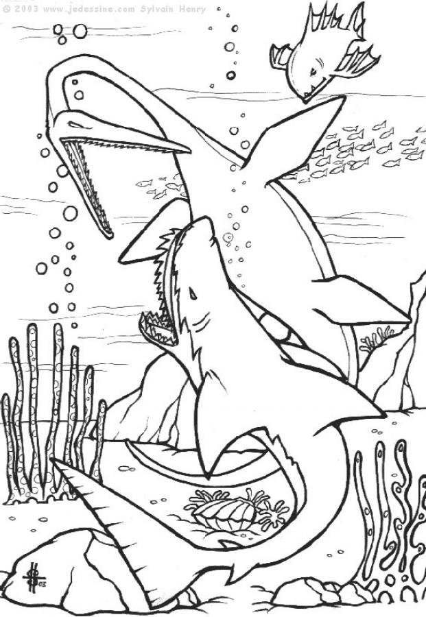 Dinosaur With Prehistoric Shark Coloring Pages Hellokids