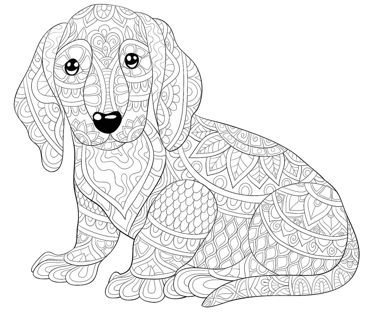 printable dog coloring sheets