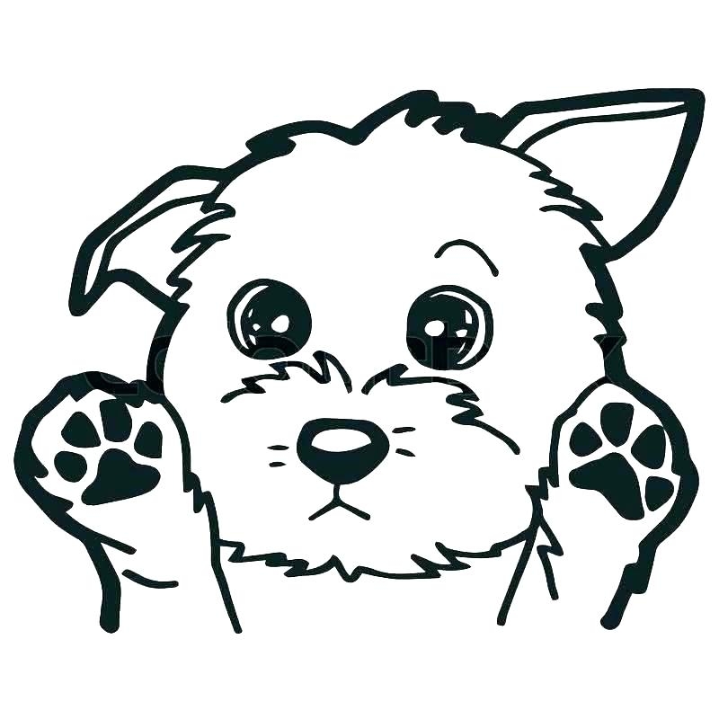 free download dog color page