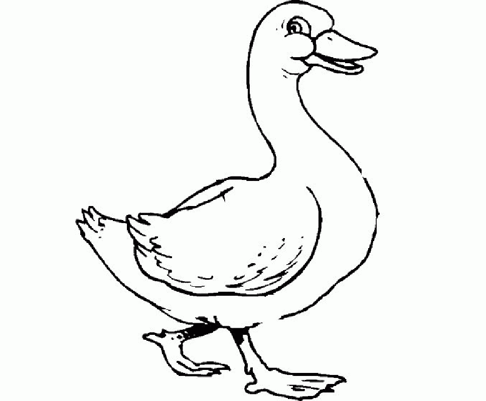 coloring picture of a duck