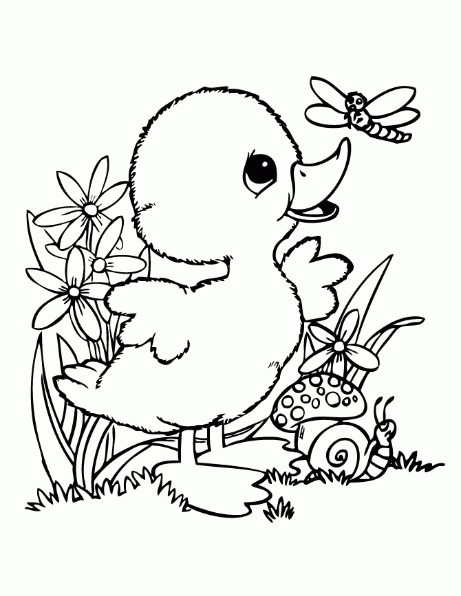 Duck Coloring Pages Printable Coloring Pages FREE