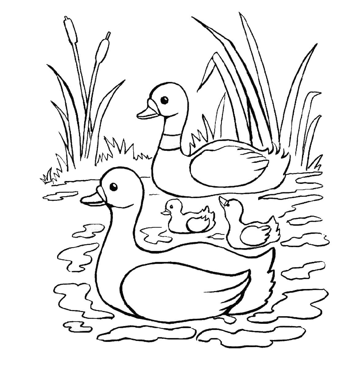 Duck Coloring Pages