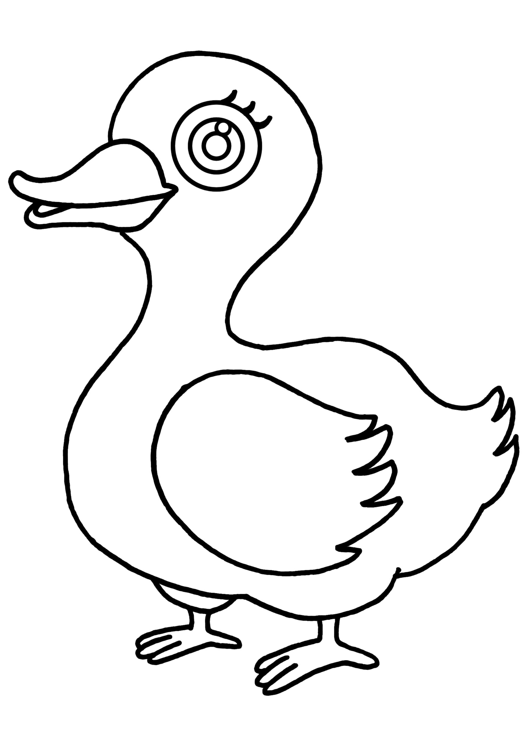 printable duck coloring sheets