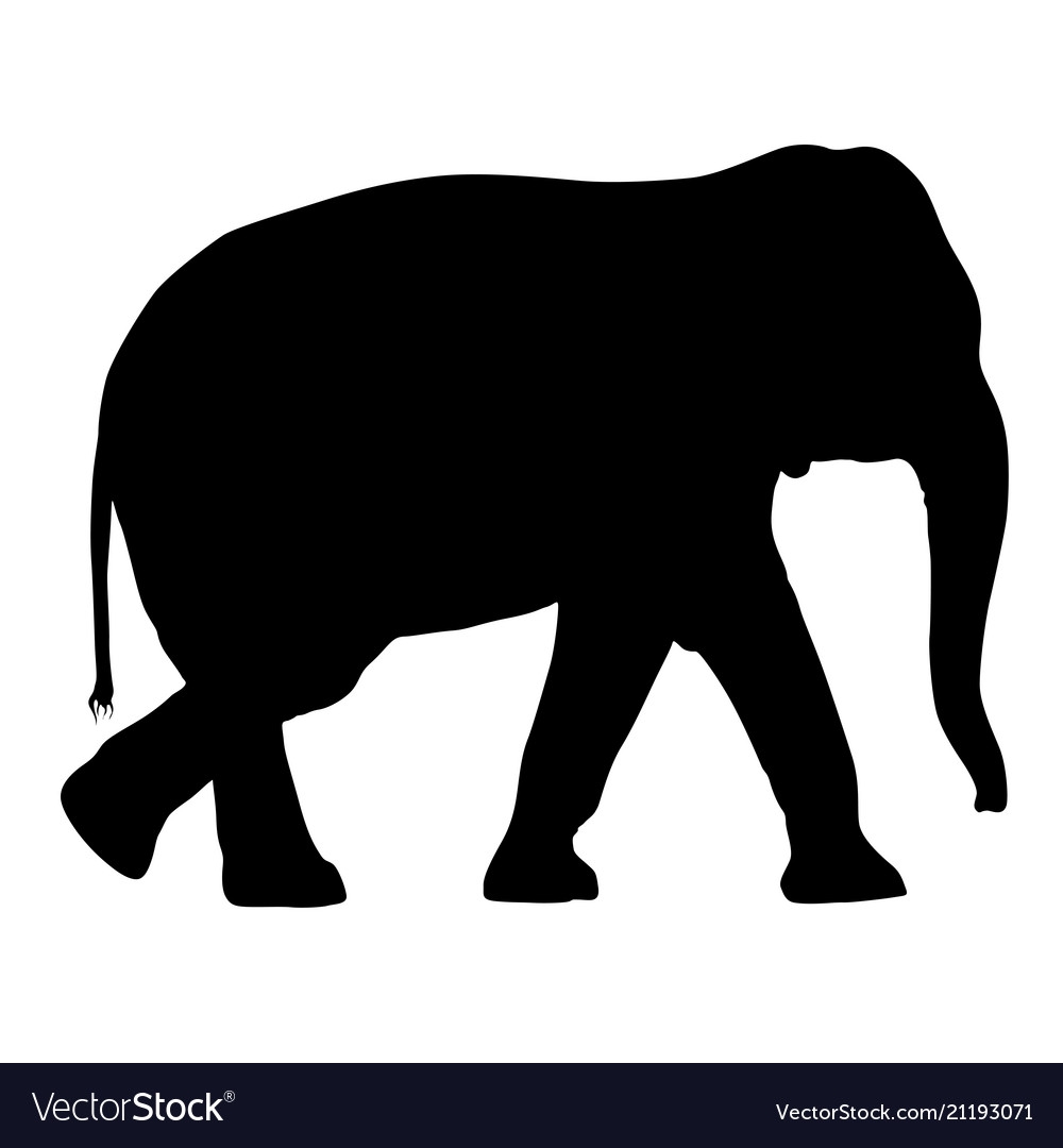 free printable elephant silhouette