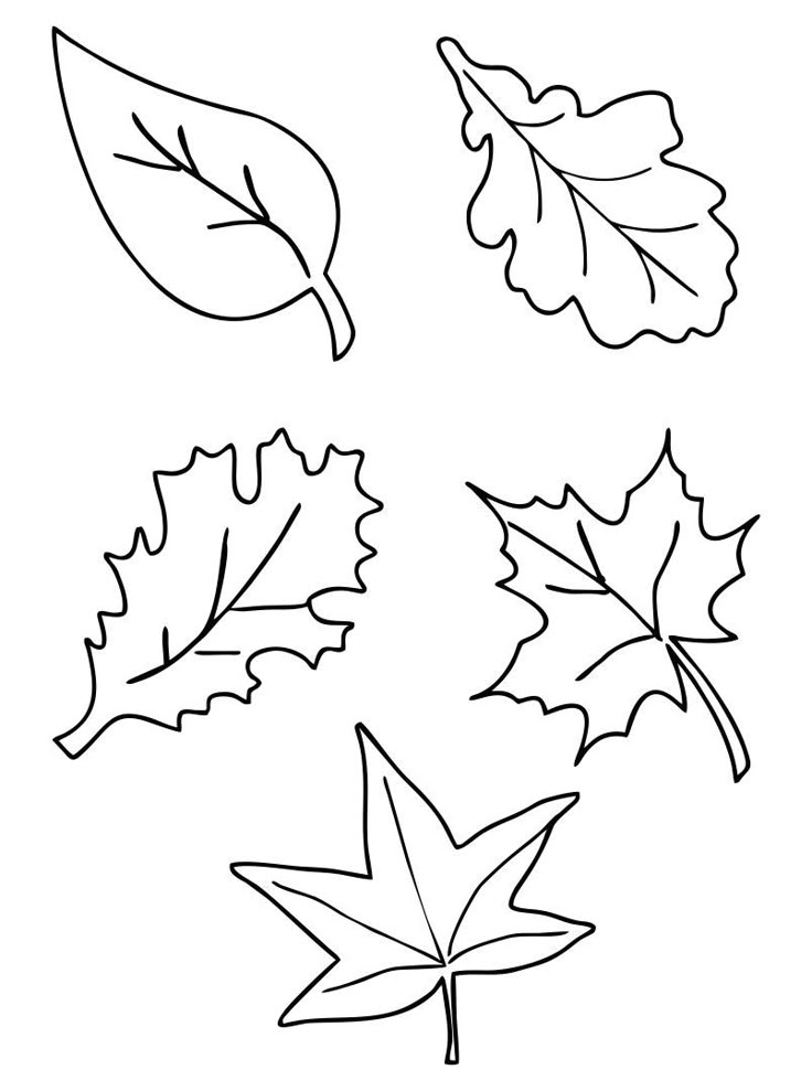 Fall Leaves Templates 10 Free PDF Printables Printablee Leaves 