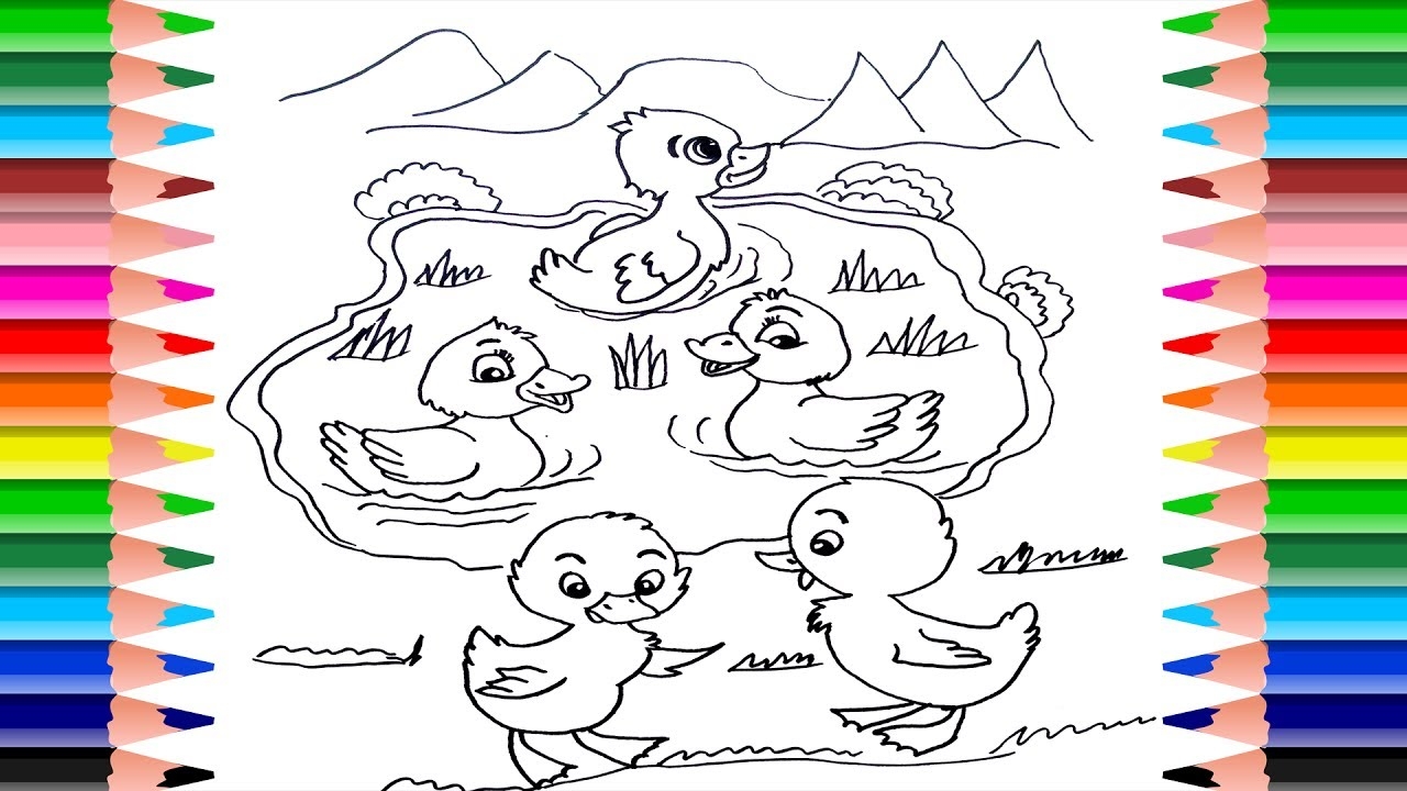 5 little ducks coloring page
