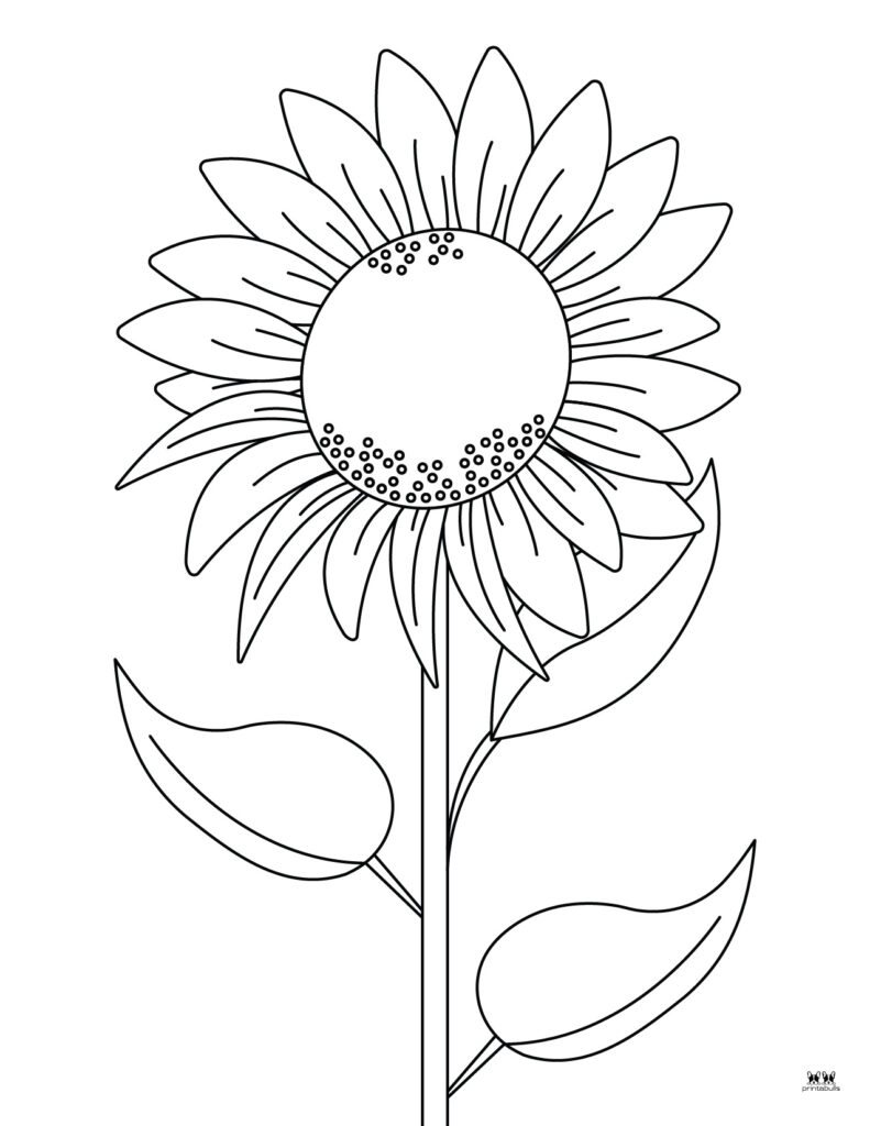printable coloring page flowers