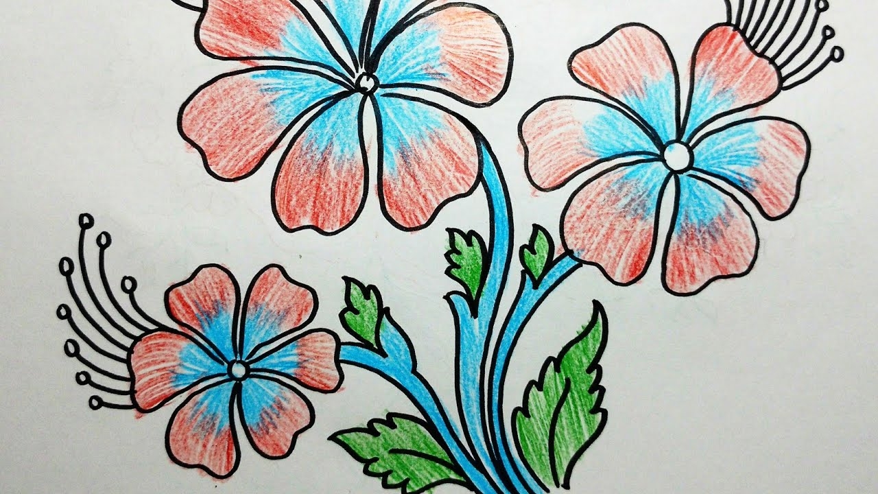 Flower Drawing Colour Video Pic flamingo