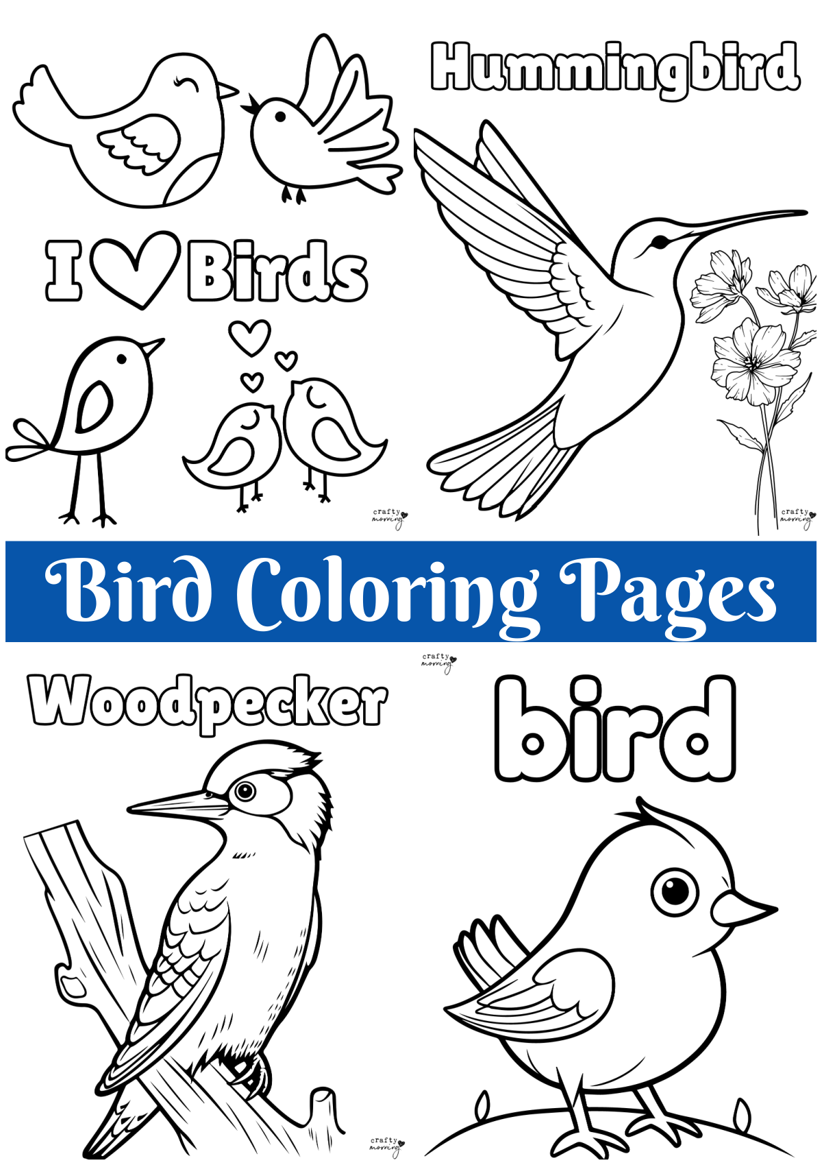 Free Bird Pictures To Print And Color Infoupdate