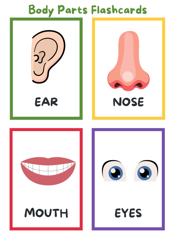 Free Body Parts Flashcards Printable For Kids 24hourfamily