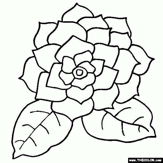 Free Color Online Coloring Pages