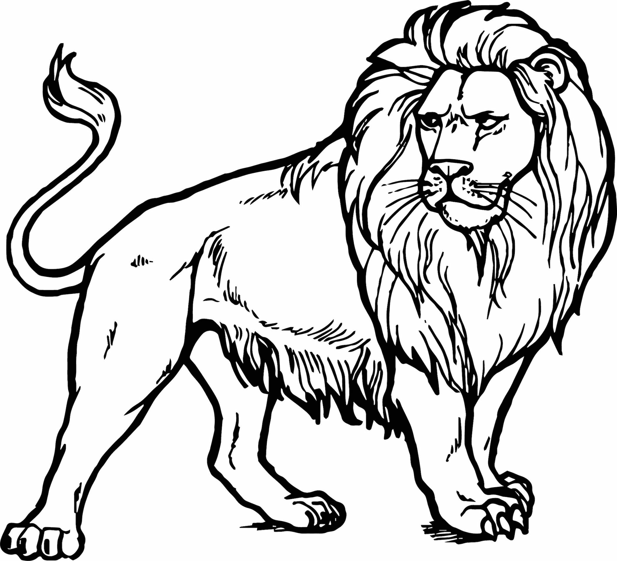 Free Coloring Page Lion Free Printable Lion Coloring Pages Fo Bilarasa