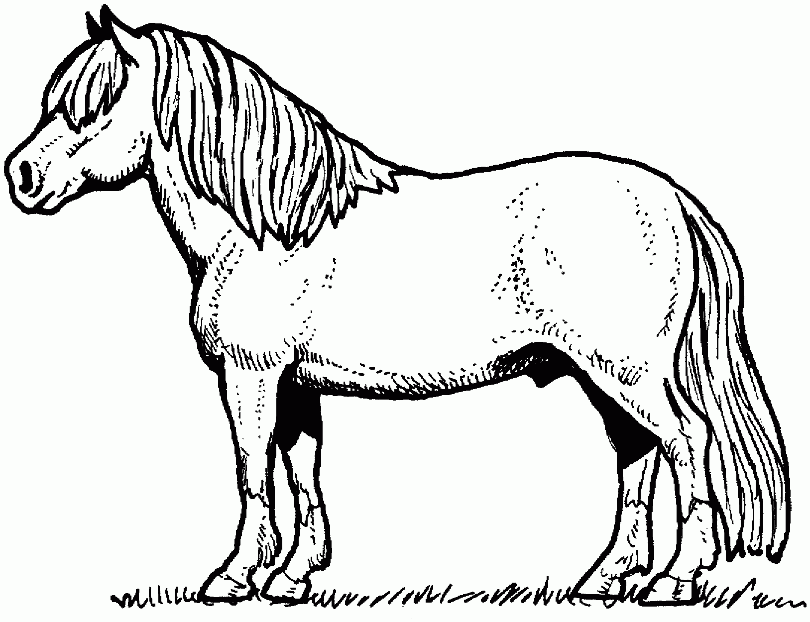 free coloring pages only