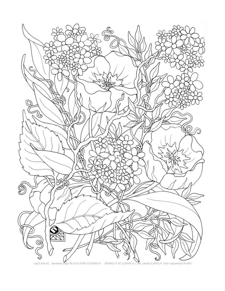 free printable coloring pages for adults