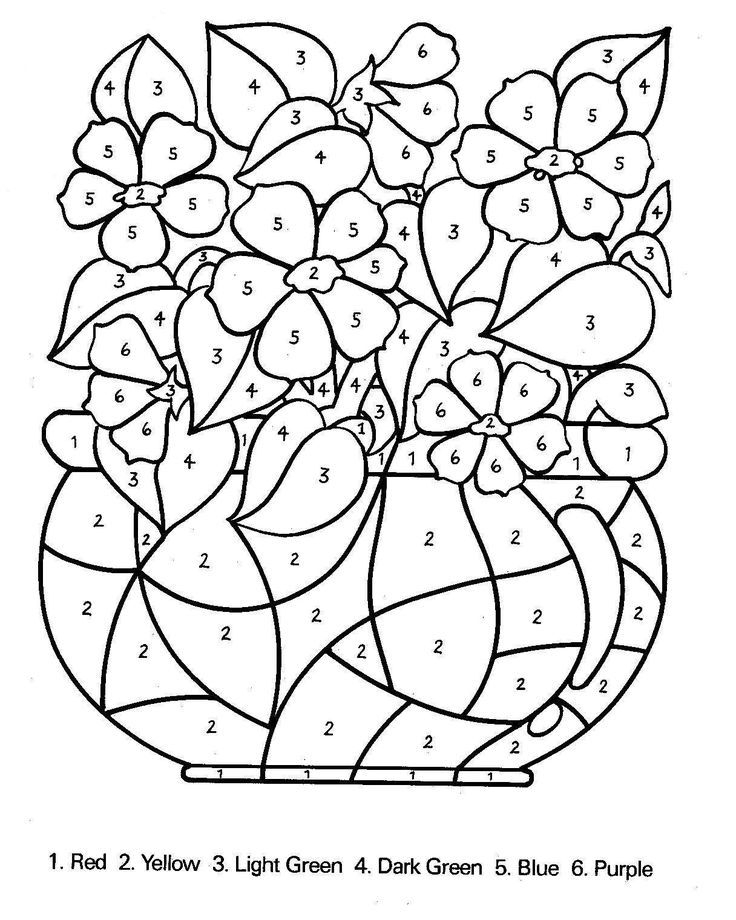 free paint by numbers for adults on computer