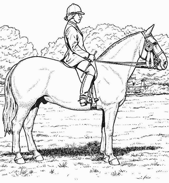 Free Free Printable Realistic Horse Coloring Pages Download Free Free