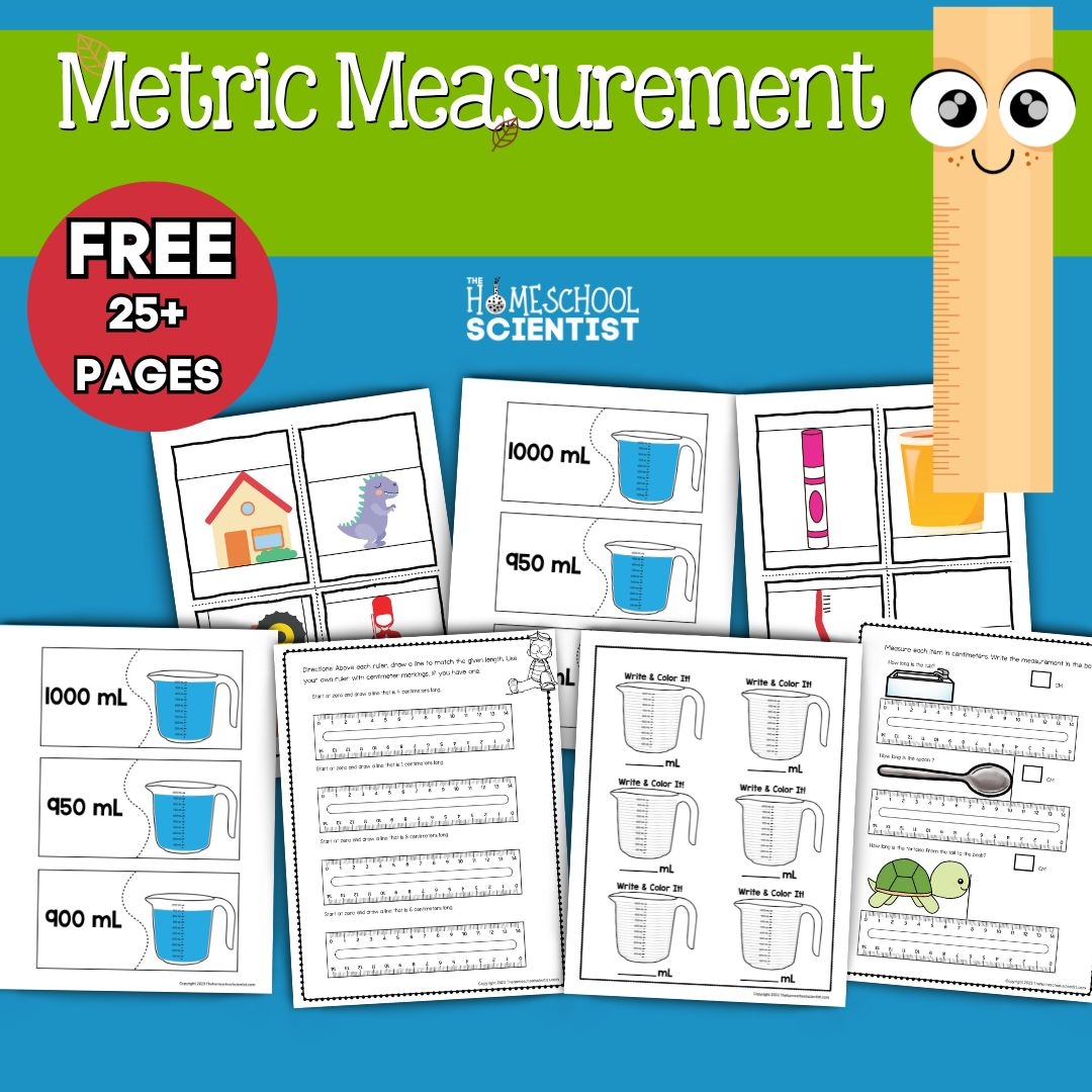 Free Homeschool Math Worksheets The Homeschool Scientist