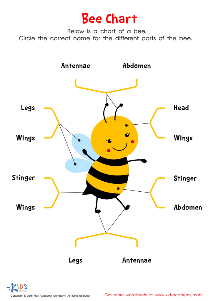 free printable honey bee worksheets