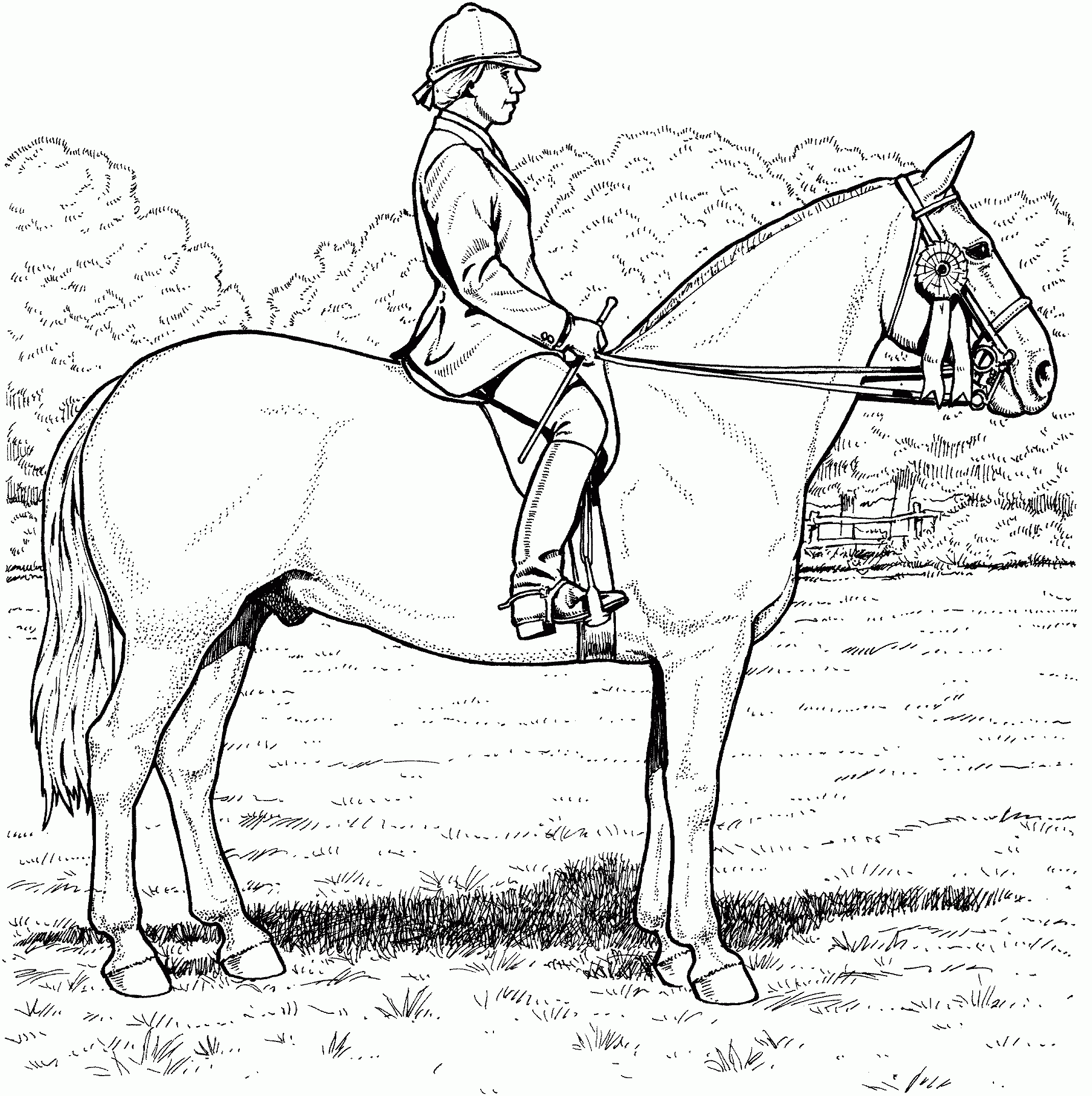 free horse coloring pictures