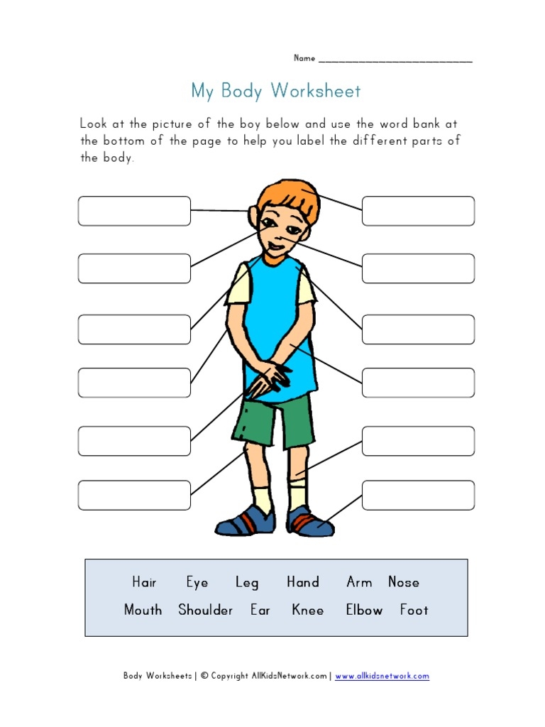 Free Human Body Worksheet Pdf Download Free Human Body Worksheet Pdf 