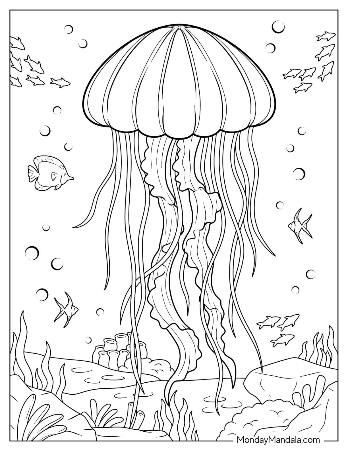 Free Jellyfish Printables Download Free Jellyfish Printables Png 