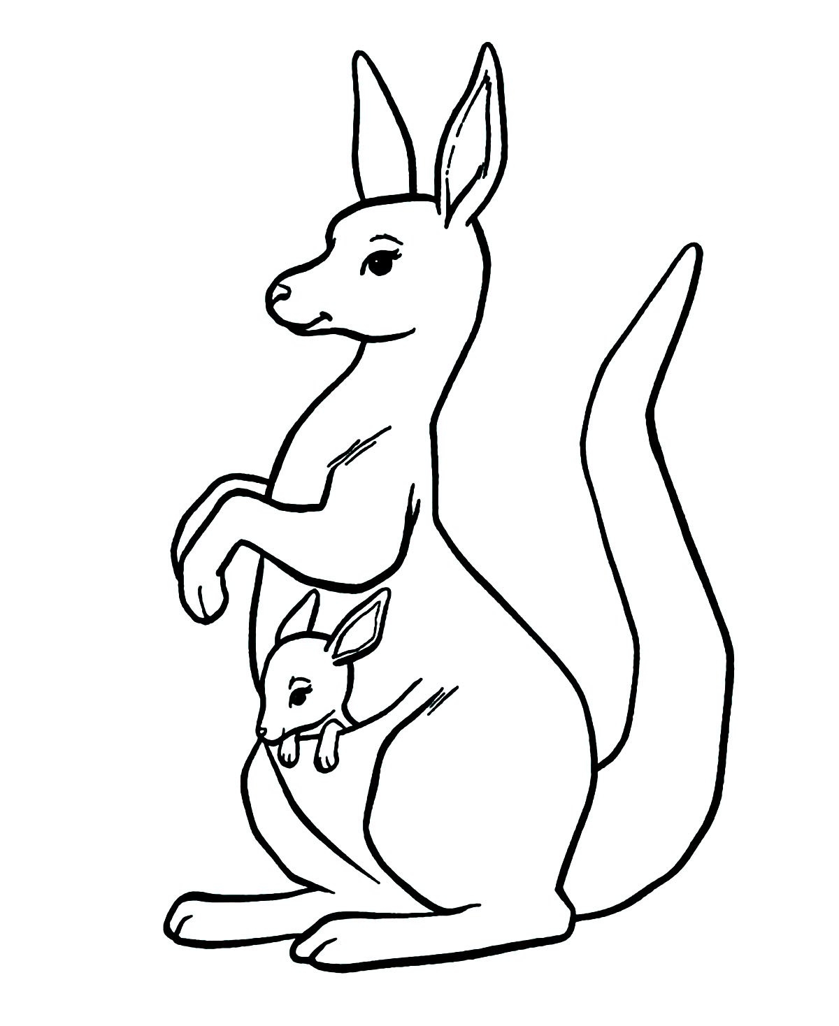 Free Kangaroo Printables Printable Templates