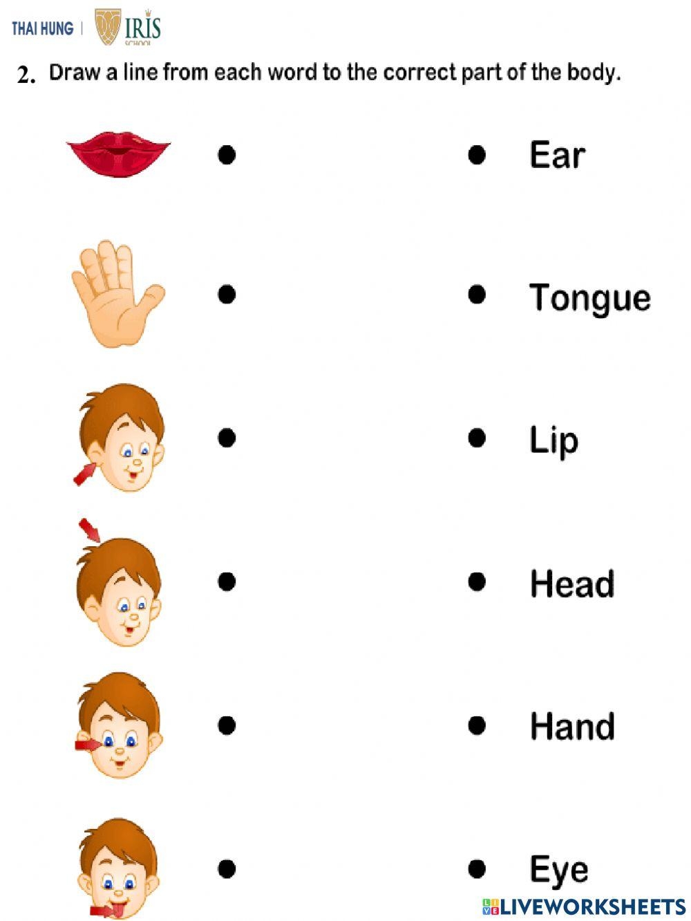 Free Learning English For Kids Worksheet Download Free Learning 