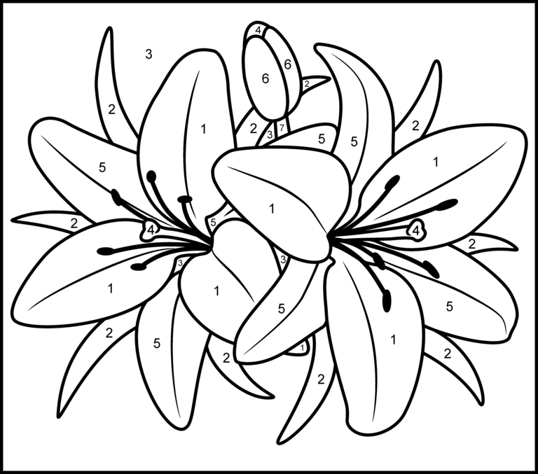 Free Paint By Numbers Coloring Home