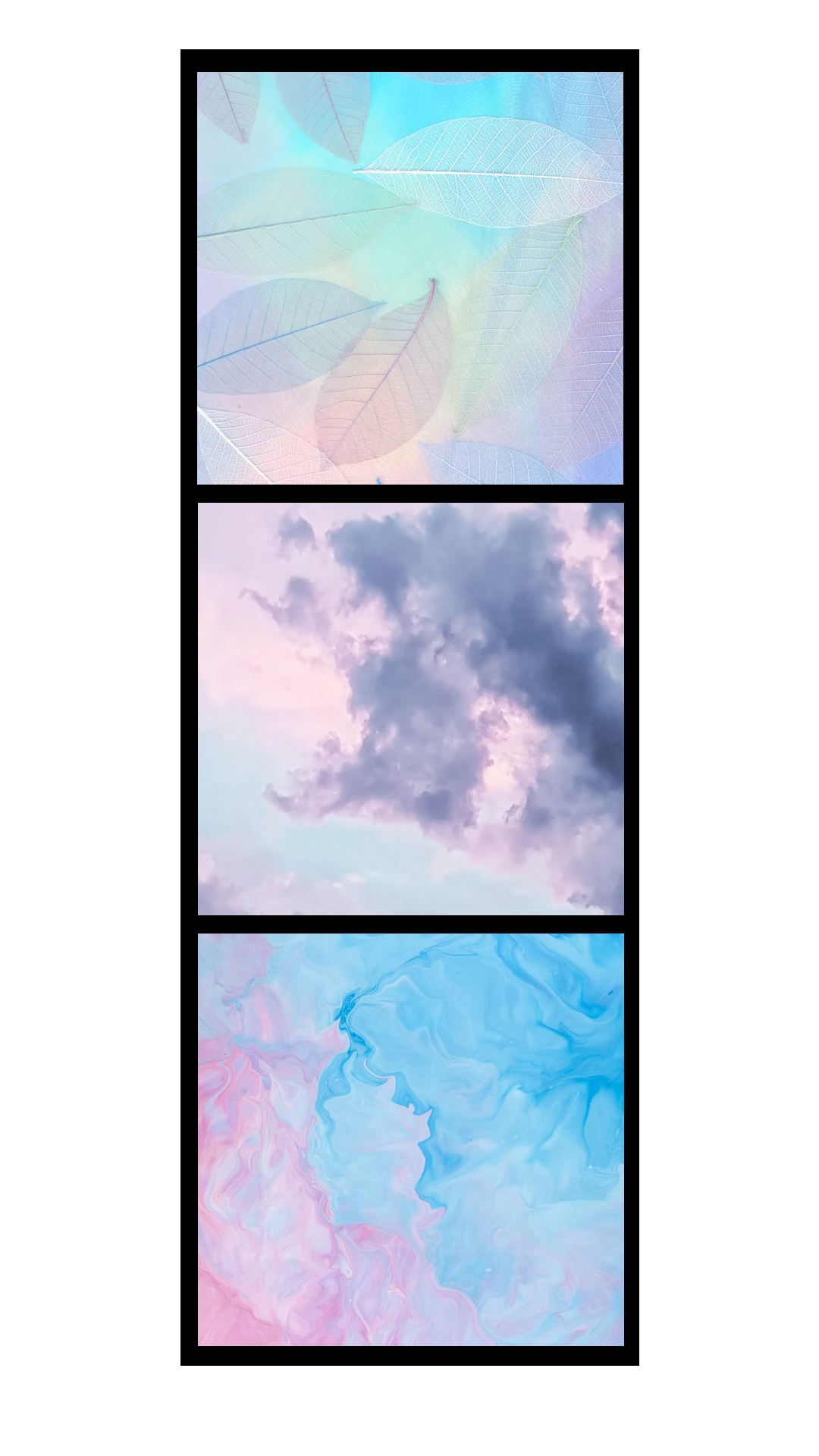 FREE Polaroid Template Download In Word Illustrator Photoshop 