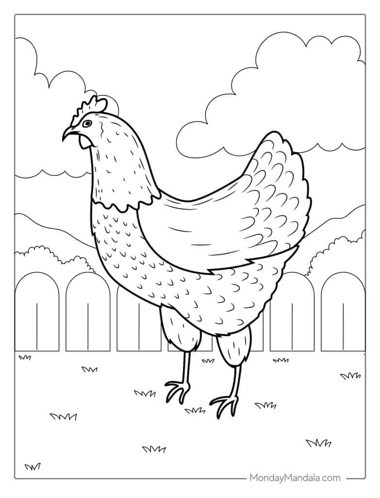 Free Printable Chicken Pictures Download Free Printable Chicken 
