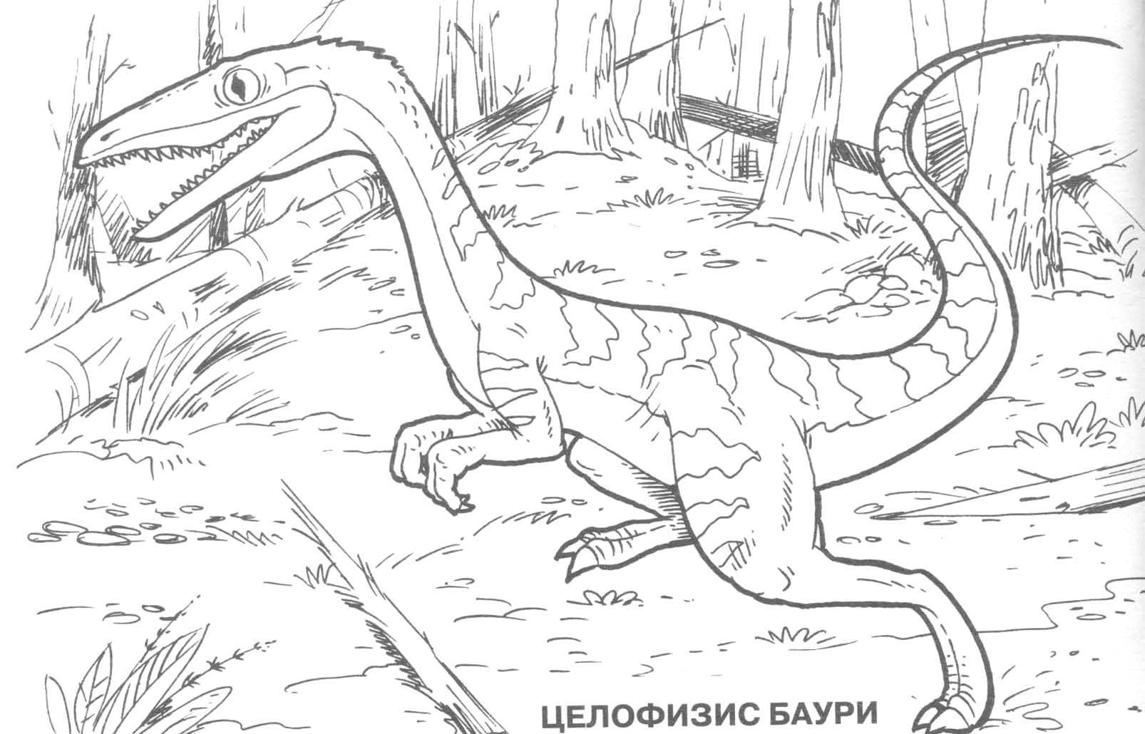 cool dinosaur coloring pages