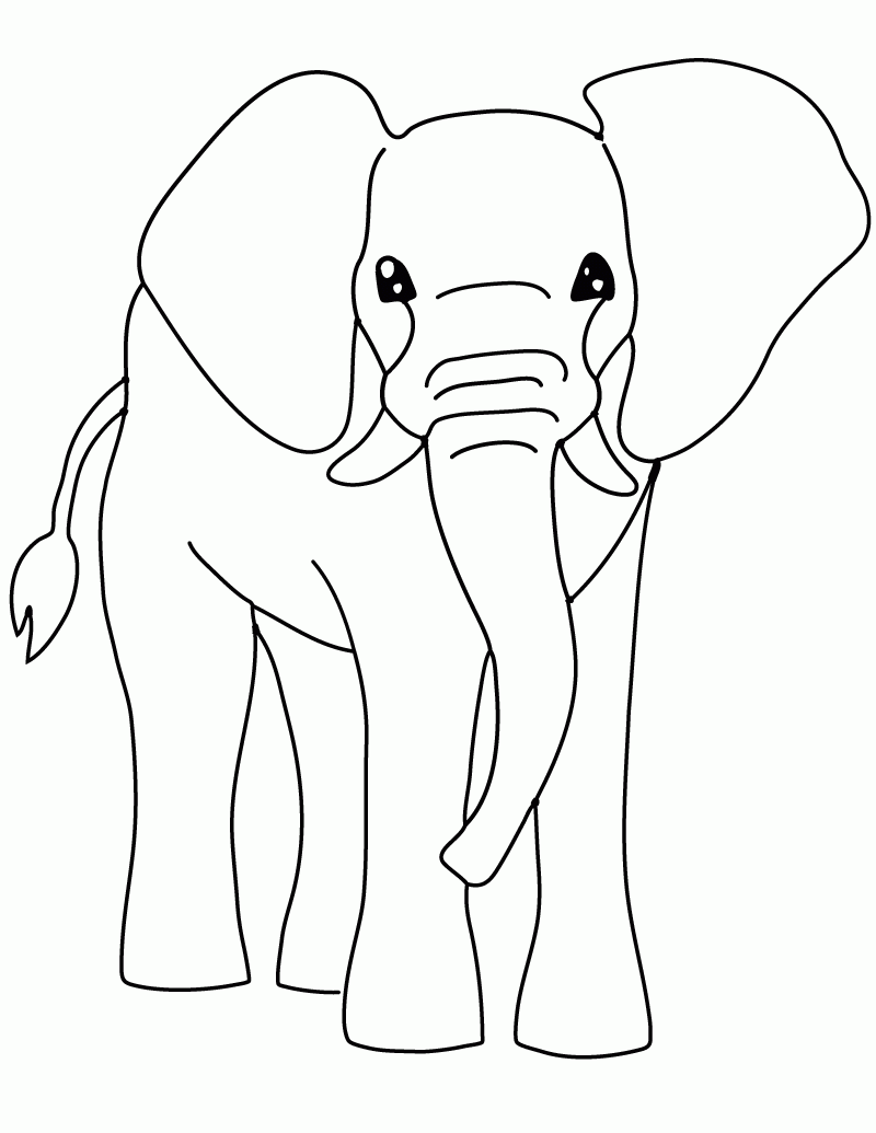 Free Printable Elephant Pictures Free Printable