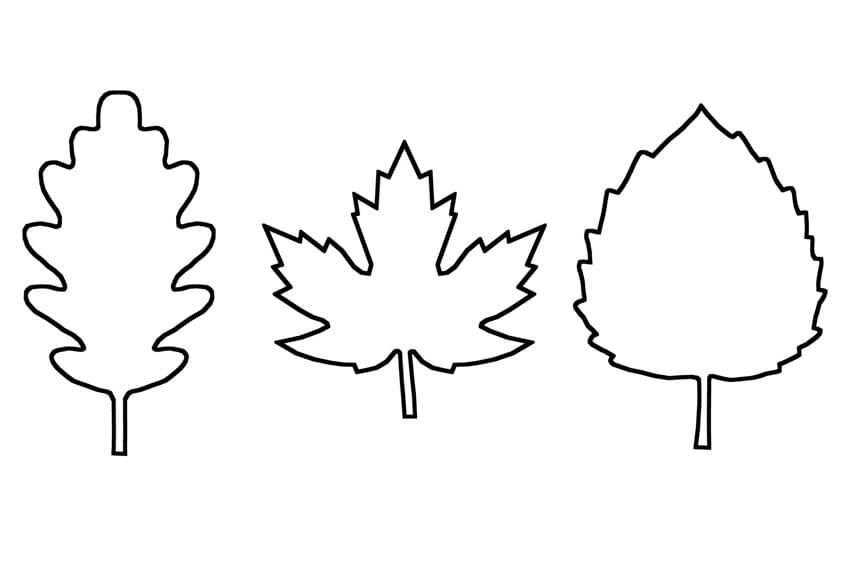 Free Printable Leaf Stencils Printable Stencils