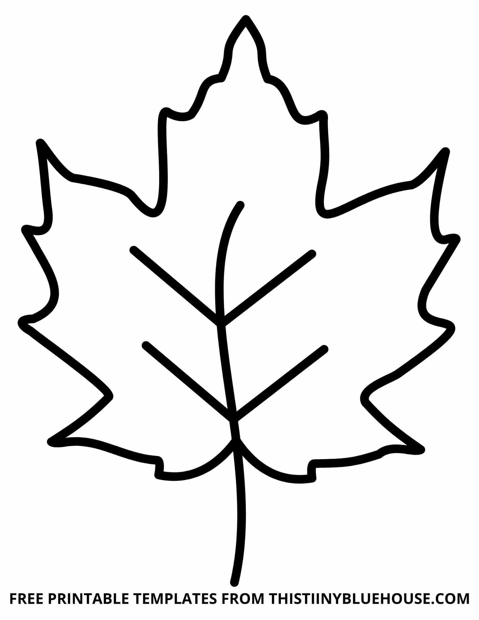 Free Printable Leaf Template