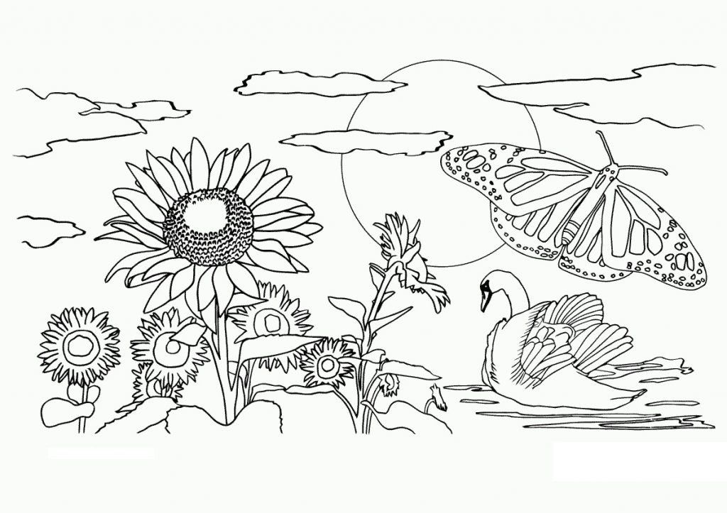 simple nature coloring pages