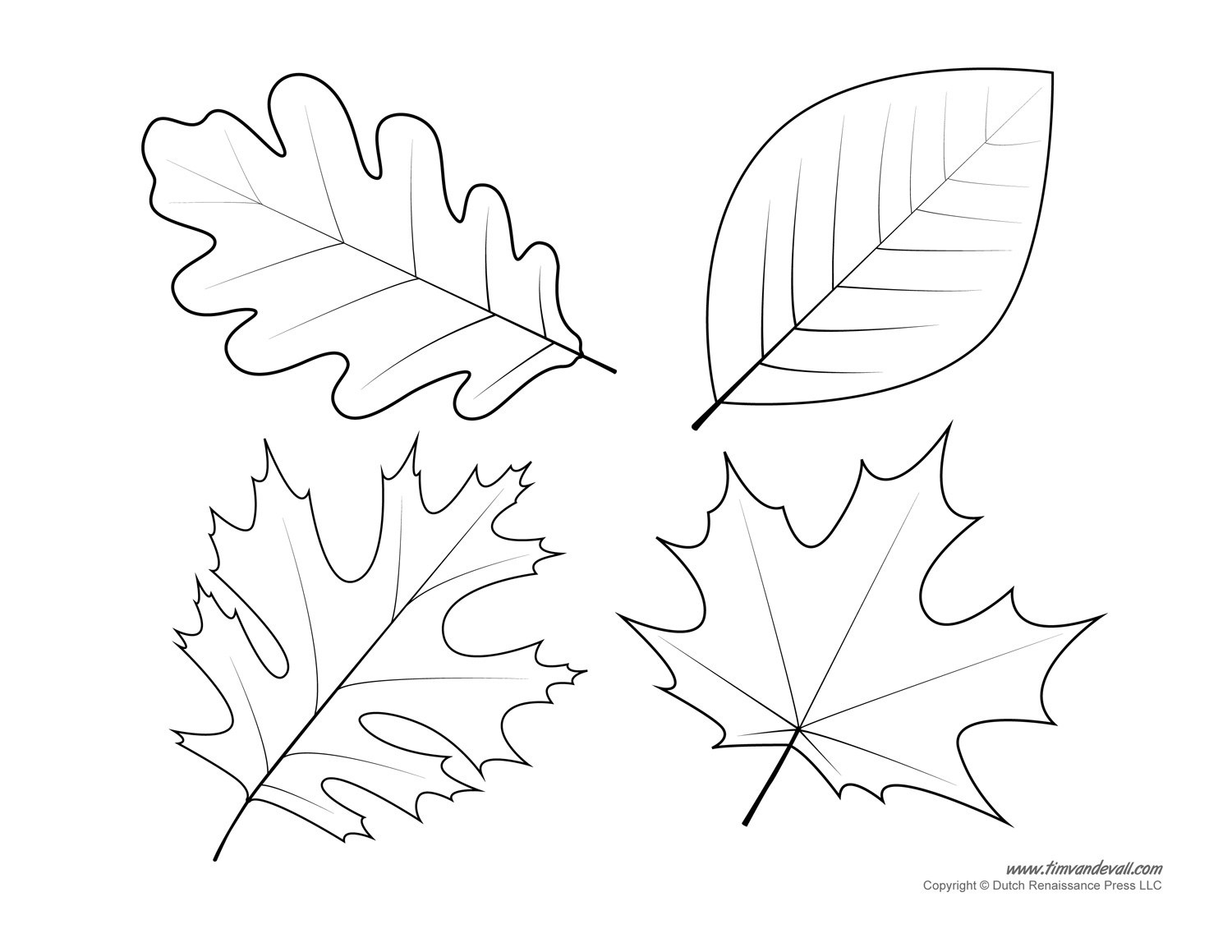 printable leaf patterns for free