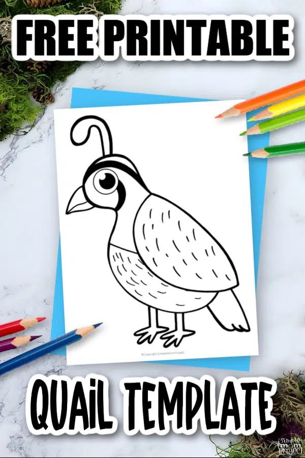 Free Printable Quail Template