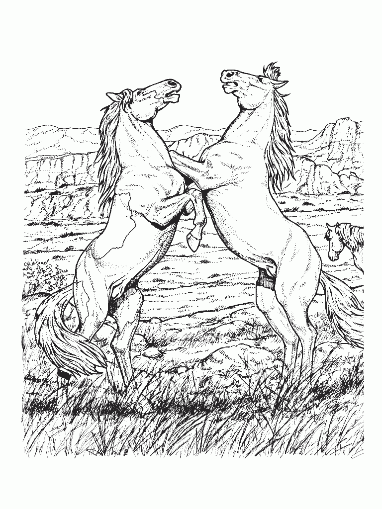 Free Printable Realistic Horses Coloring Page Coloring Home
