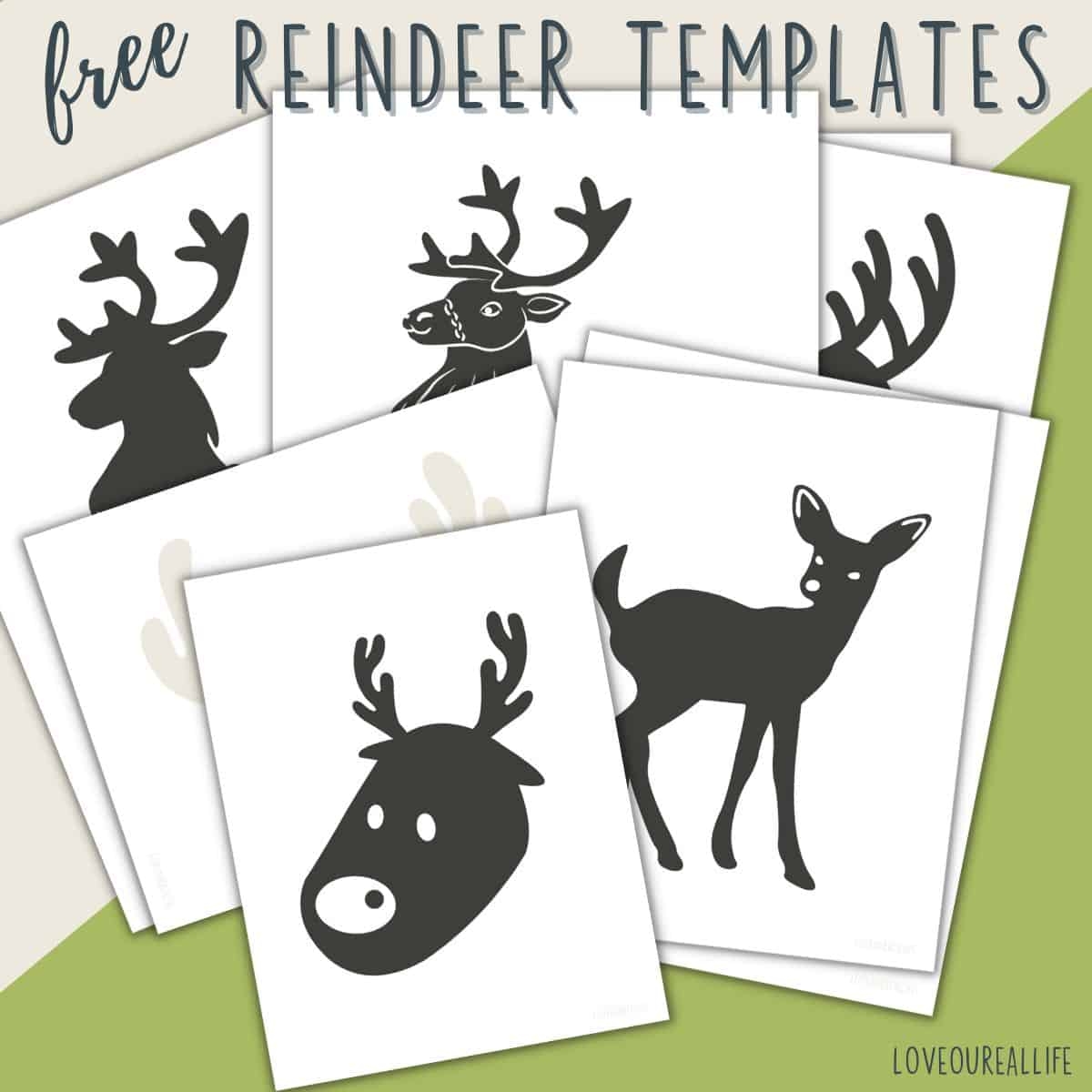 free printable reindeer face template