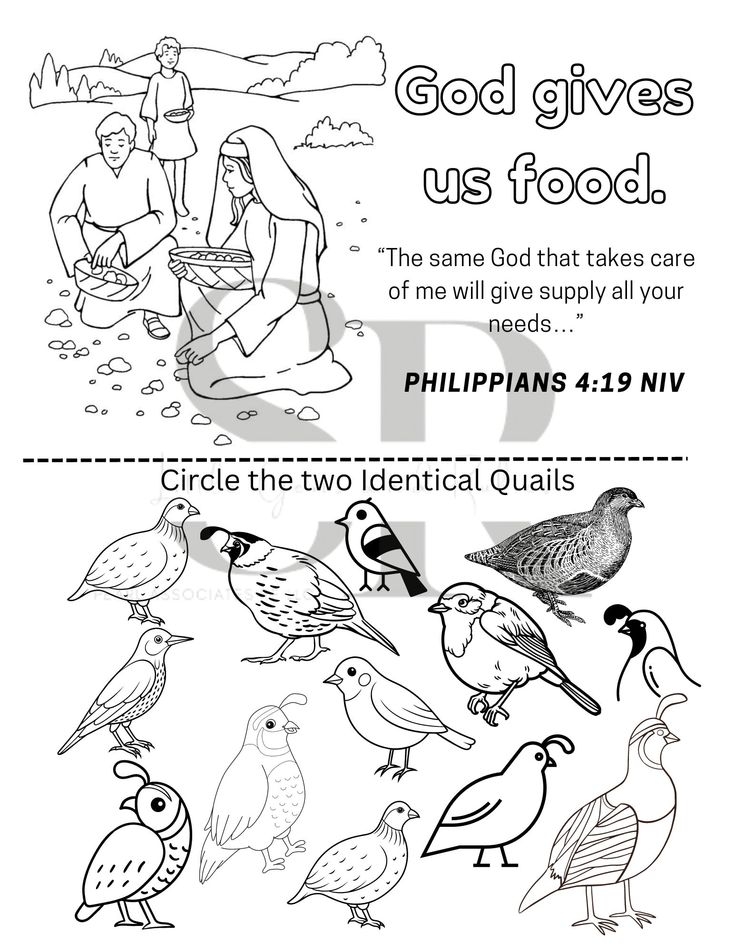 God Feeds Israelites In The Wilderness Worksheet Sunday School 