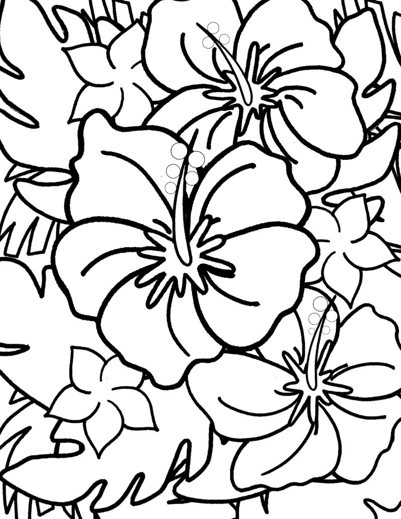 free flower printable coloring pages
