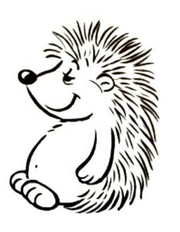 Hedgehog Printable Template Coloring Page